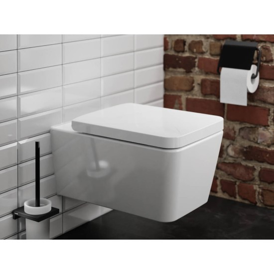 Hansgrohe AddStoris Q matt fekete wc-kefe tartó (41752670-HG)