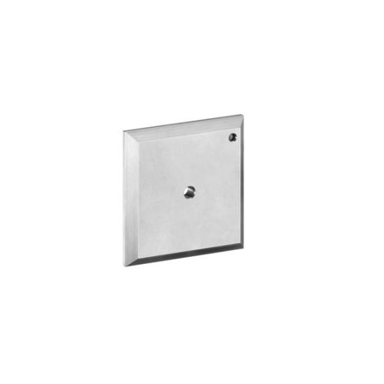 Hansgrohe iControl öblítőlap (15956000-HG)